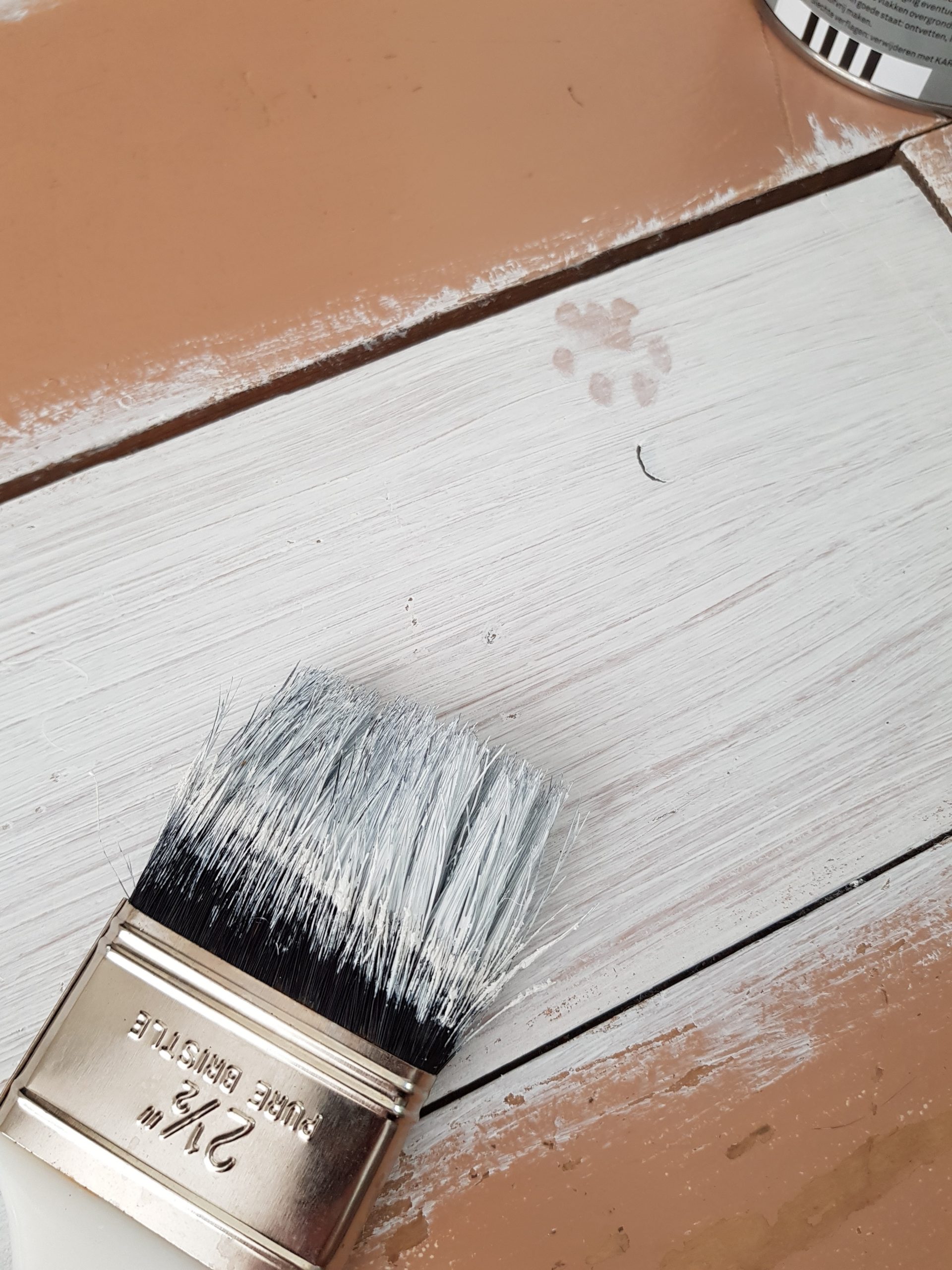 Pintura antibacteriana