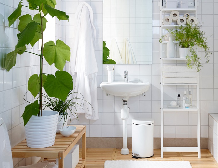 plantas-baño