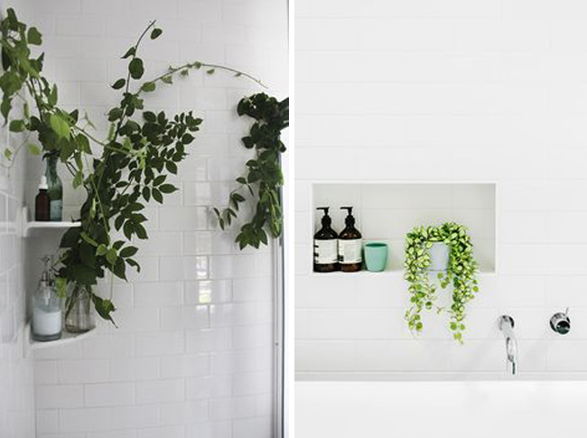 baño de color blanco con plantas