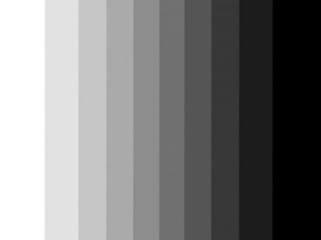 Tonos gris